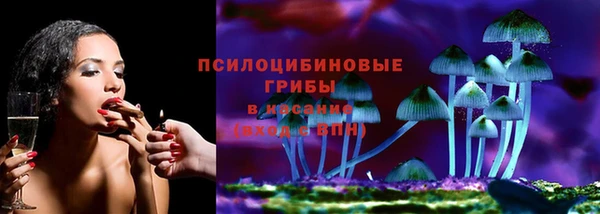 амф Ладушкин