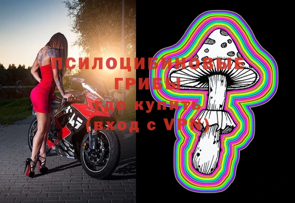 шишки Кукмор
